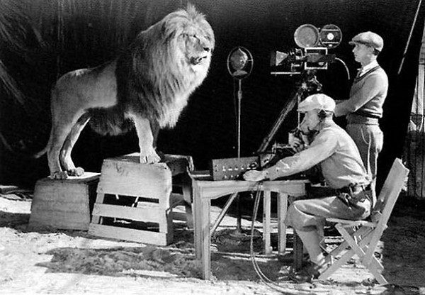 enregistrement lion MGM
