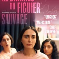 LES GRAINES DU FIGUIER SAUVAGE de Mohammad Rasoulof : la critique du film